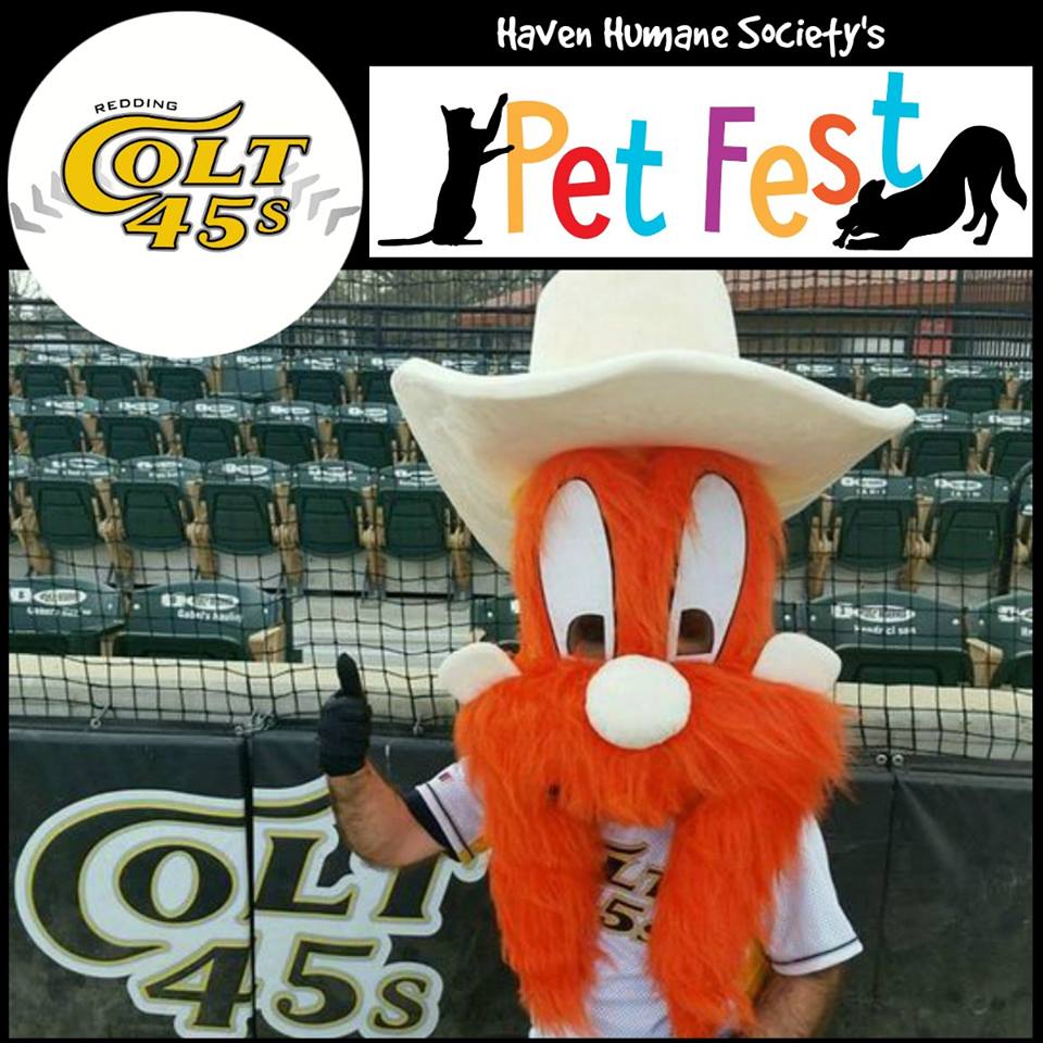 Homer Teams up with Haven Humane May 5th