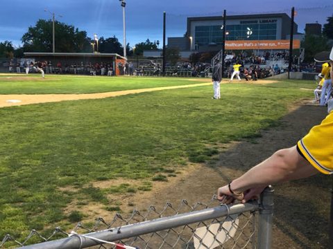 Take ’em Out to the Ball Game!