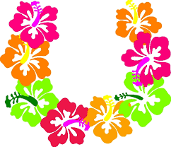 CANCELLED!!!!!                       July 27th is Hawaiian Night at Historic Tiger Field!