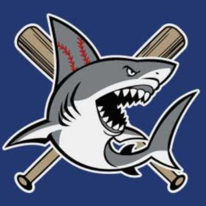 Silicon Valley Sharks