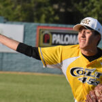 Colt 45s pitcher delivering to the plate.