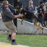 Pregame police K-9 unit demonstration for "We Back the Blue" night at the ballpark (versus Fresno Athletics, Sunday, June 11th, 2023).