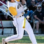 Colt 45s batter swings at the pitch (photograph by Bill Wagner).